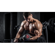 Buy Steroids Cycles for Beginner Online - Steroid Cycles in USA