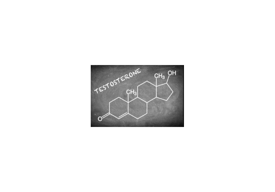 Anabolic Steroids